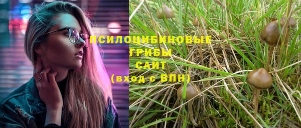 прущие грибы Навашино