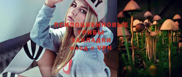 гидра Михайлов