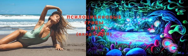 прущие грибы Навашино