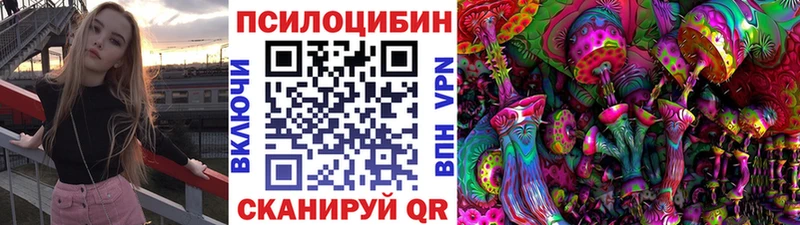 Галлюциногенные грибы прущие грибы Новоалександровск