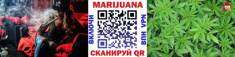 Шишки марихуана гибрид  Новоалександровск 